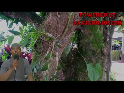 Видео: Эрталаб тингланг Ризқ Барака Бойлик Омад Учун дуо кун давомида