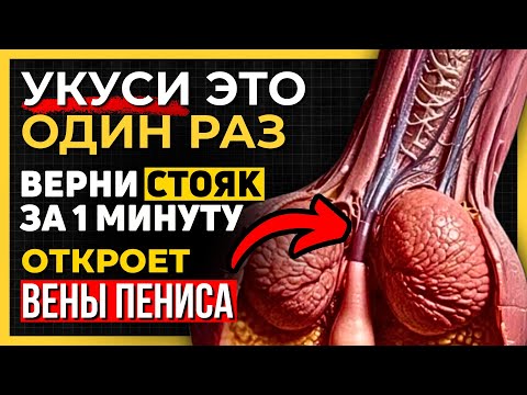 Видео: После 60 жуйте эту СПЕЦИЮ и верните СИЛУ! Советы для пожилых людей
