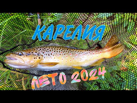 Видео: Лето 2024. Карелия.