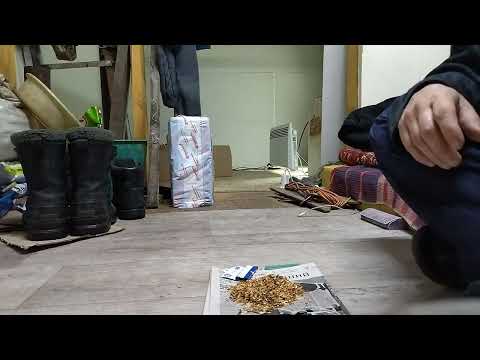 Видео: Махорка Clorotica.