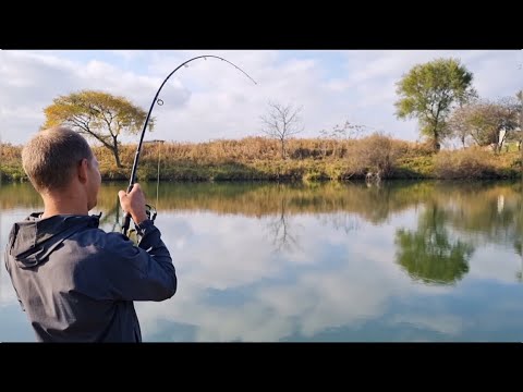 Видео: КЕТА 2024! Рыбалка в Приморье!