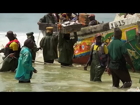 Видео: Мавритания, транспортеры пустыни | Самые смертоносные путешествия