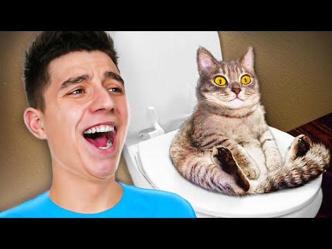 Видео: ЗАСМЕЯЛСЯ - ЗАДОНАТИЛ ЧЕЛЛЕНДЖ! **ОЧЕНЬ СМЕШНО**