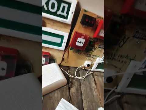 Видео: 4 октября 2025 г.