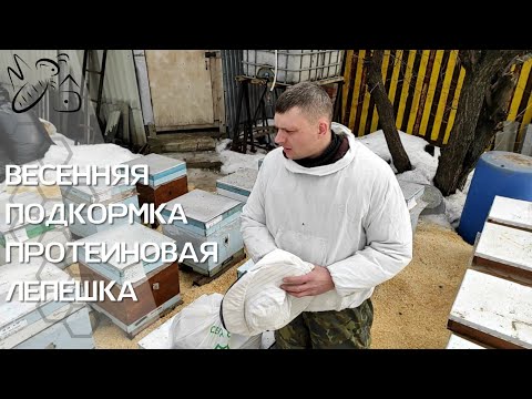 Видео: Весенняя подкормка для пчел/Протеиновая лепешка