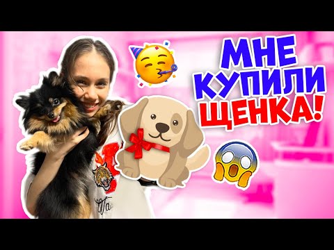 Видео: Ксюше КУПИЛИ👉 ЩЕНКА ... Влог