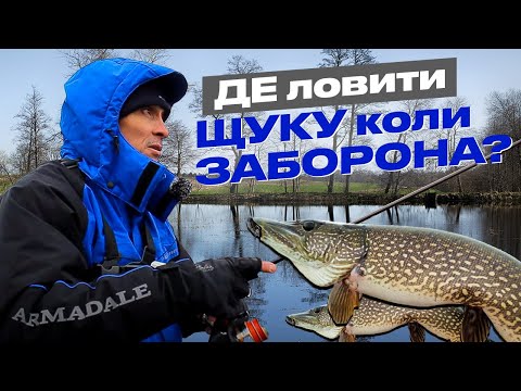 Видео: 😱 Де ловити ЩУКУ і СУДАКА коли ЗАБОРОНА? + яка приманка працює найкраще у 2024?