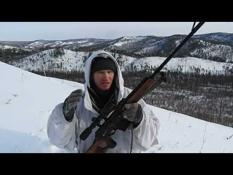 Видео: ОХОТА с ПОДХОДА НА КОСУЛЮ. ОТЛИЧНЫЙ ВЫХОД. ДАЛЬНИЕ ВЫСТРЕЛЫ. ОБРАЩЕНИЕ К ПОДПИСЧИКАМ В КОМЕНТАРИИ!!!