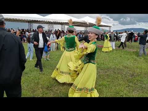 Видео: Кеген ауданы,қарқара жайлауы, қымызмұрындық 2024