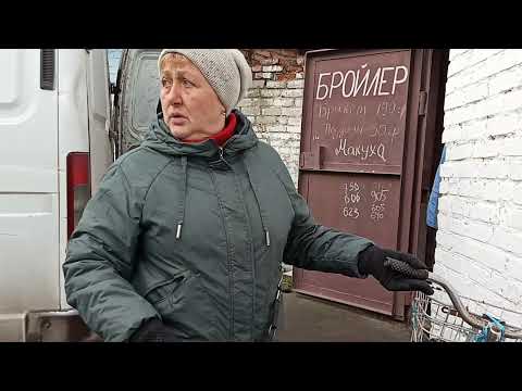 Видео: Коровы кормят себя и меня !
