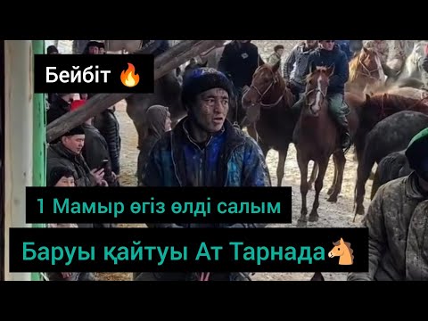 Видео: 27.01.2025 Әшірәлиевтер әулеті,Бекжан ата ұлы Рүстем елден бата алу көкпары,ӨГІЗ ӨЛДІ салым.1 Мамыр