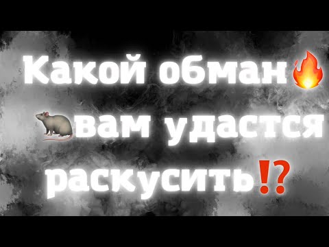 Видео: КАКОЙ ОБМАН ВАМ УДАСТСЯ РАСКУСИТЬ⁉️🐀🔥