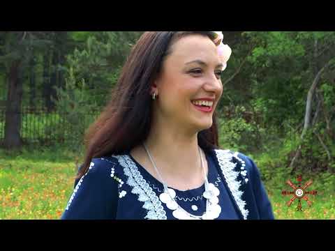 Видео: Орк. "Шевица" - Ти хубава девойко