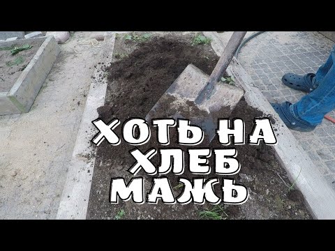 Видео: чернозем из глины