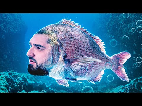 Видео: HARD PLAY РЕАКЦИЯ ЗОМБИ ЧЕЗ САМЫЕ ОПАСНЫЕ ДЫРЫ В МИРЕ