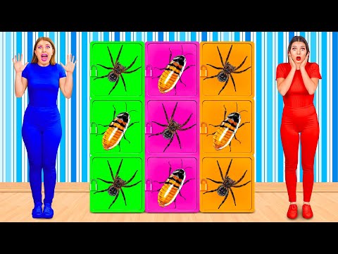 Видео: Челлендж Цветная Загадочная коробка от Crazy DO