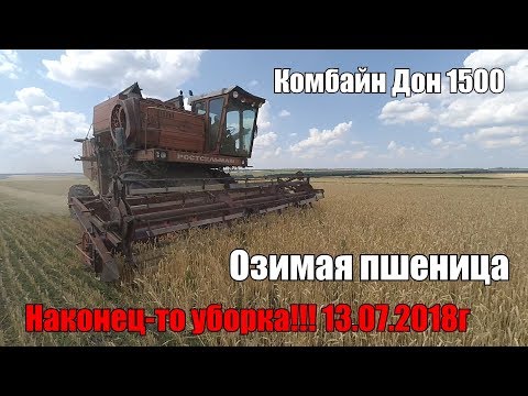 Видео: Уборка пшеницы 10.07.2018. Комбайн Дон 1500.