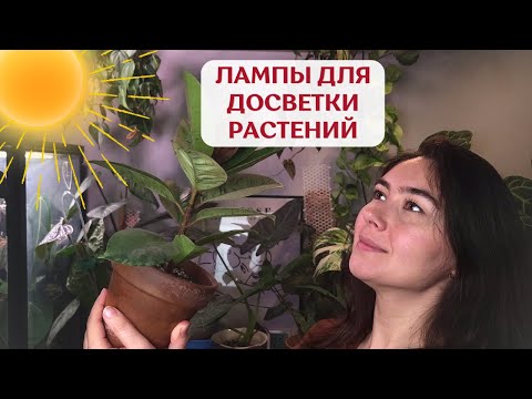 Видео: Какие ЛАМПЫ для РАСТЕНИЙ использую | как я ДОСВЕЧИВАЮ РАСТЕНИЯ | ОБЗОР фитоламп