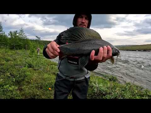 Видео: Плато Путорана часть 3  река "Калтамы"