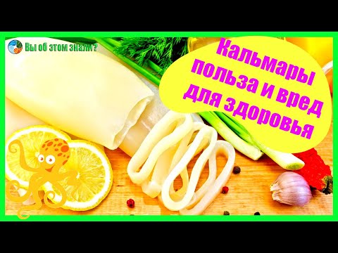 Видео: Кальмары - польза и вред для здоровья