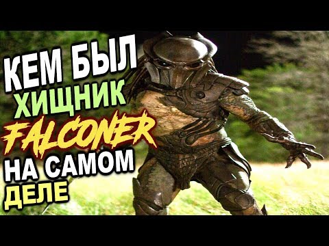 Видео: Кем был Хищник Фалконер НА САМОМ ДЕЛЕ