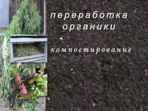 Видео: 11_Компостирование, мульчирование и сидераты