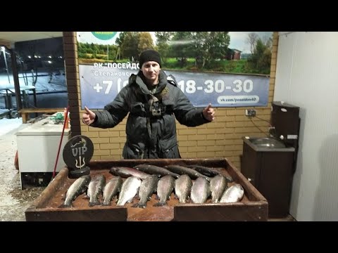 Видео: Ловлю форель на  спиннинг. РК Посейдон. Вип зона. Spinning trout.