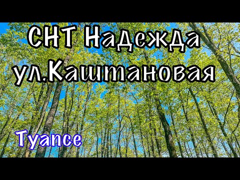 Видео: Туапсе. СНТ Надежда и ул.Каштановая.