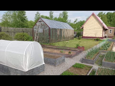 Видео: ОСНОВАНИЕ ПОД ПАРНИК/ ЗАВЯЗИ НА ТОМАТАХ/ БЕСЕДКА В ОГНЯХ