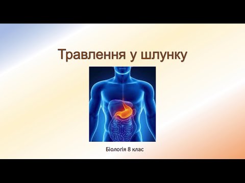 Видео: Біологія людини. Травлення у шлунку