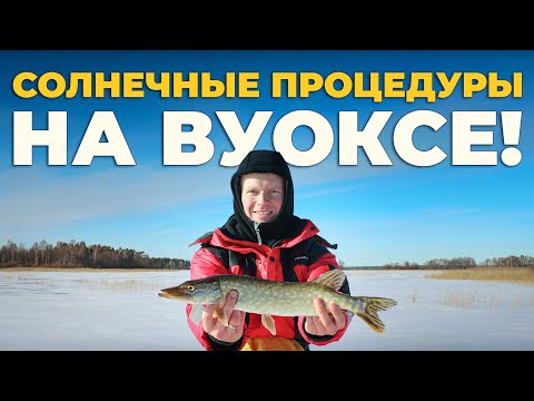 Видео: Зимняя рыбалка на Вуоксе. Рыбалка в Ленинградской области