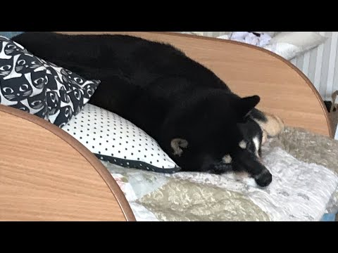 Видео: СБОРЫ В ЛАГЕРЬ-2 часть!!!