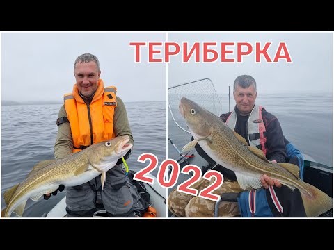 Видео: ТЕРИБЕРКА 2022 РЫБАЛКА