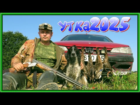 Видео: УТИНОЕ ОТКРЫТИЕ 2025 получилось ОЧЕНЬ ИНТЕРЕСНОЕ!!