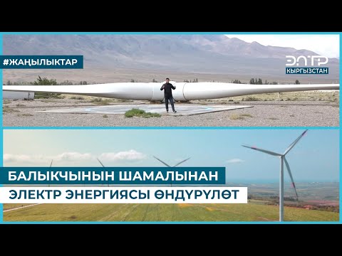 Видео: БАЛЫКЧЫНЫН ШАМАЛЫНАН ЭЛЕКТР ЭНЕРГИЯСЫ ӨНДҮРҮЛӨТ
