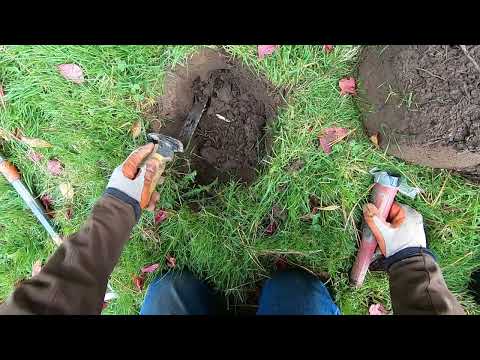 Видео: РЕАЛЬНЫЙ ЭФФЕКТ РАСКОПКИ!! Большая монета с Мантикорой... она была глубокой!