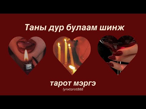 Видео: 🍷ТАНЫ ДУР БУЛААМ ШИНЖ ЧАНАР | тарот мэргэ
