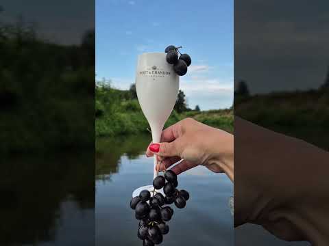 Видео: Сплав по реке Сестра на лодке надувной (Часть 1).