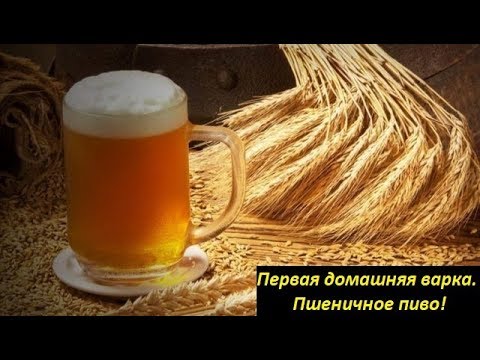 Видео: Первая домашняя варка на канале. Пшеничное пиво. Hefeweizen.