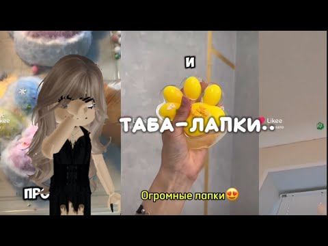 Видео: Таба-лапки! Новый тренд.. *реакция Лайк*