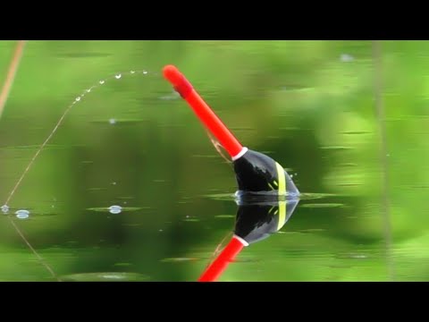 Видео: ВОНА ЗРОБИЛА РИБАЛКУ. Риболовля на Поплавок. Рибалка на карася.