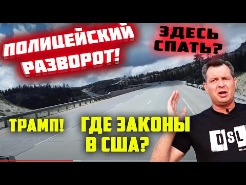 Видео: НЕТ ЗАКОНОВ в США! Сплю с БОМЖАМИ! Проблема в РАБОТЕ - нет парковок! За что штрафуют в ЭПИДЕМИЮ