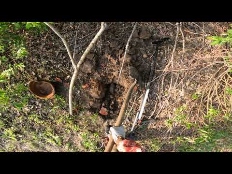 Видео: МЕТАЛЛОКОП У ПРУДА