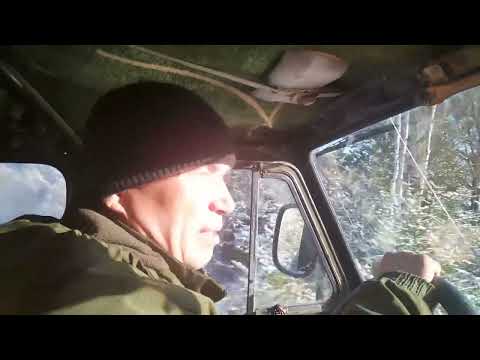 Видео: По местам старого охотника д  Красноярка