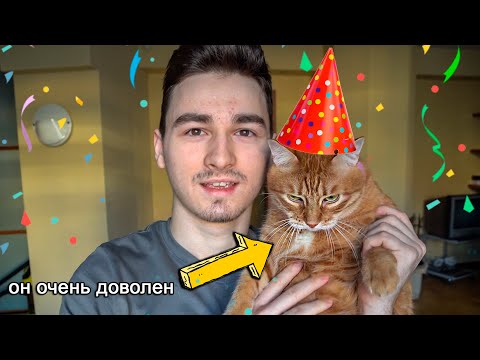 Видео: Отмечаем День Рождения Тигры!