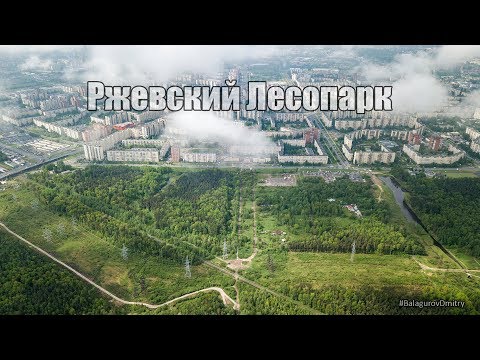 Видео: Ржевский Лесопарк | Съемка с квадрокоптера #BalagurovDmitry