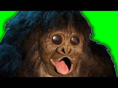 Видео: БОЛЬШАЯ ВОЛОСАТАЯ РЖАКА (Finding Bigfoot)