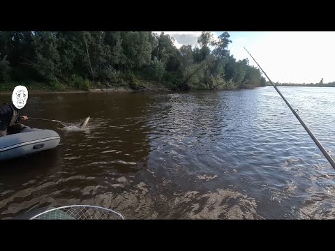 Видео: Рыбалка на джигу и балду, Чулым.(Щука сломала подсак и красиво ушла)