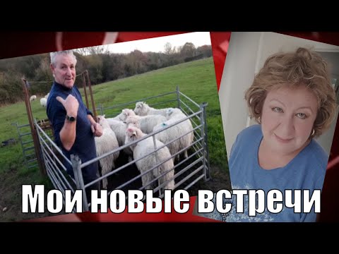 Видео: МОИ НОВЫЕ ВСТРЕЧИ.  НЕОЖИДАННО Я ЕГО НАШЛА!?..ИЛИ Я ЕГО ПРИДУМАЛА?