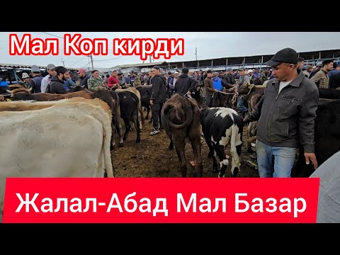 Видео: Мал Базар Жалал-Абад